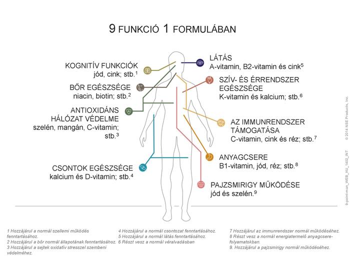 Az emberi szervezet 9 fontos funkciója pharmanex lifepak plusz